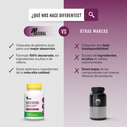 Resveratrol | 60 Cápsulas